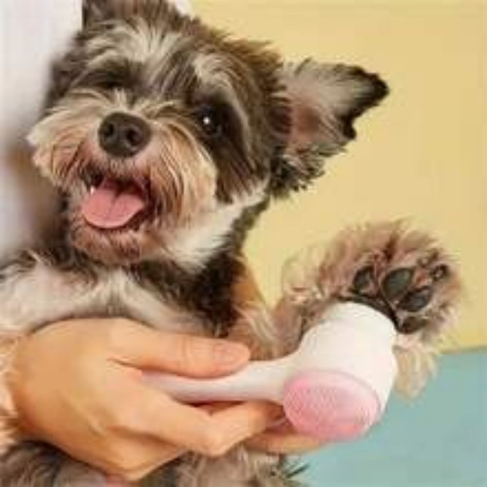 Easy Clean Nylon Pet Paw Grooming Massage Brush