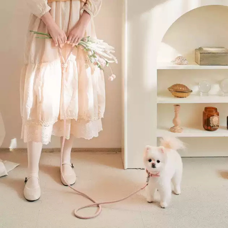 Pet Leather Handheld Collar Style Walking Leash