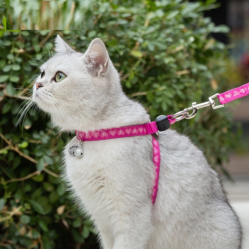 Pet Bell Chest Strap Vest Style Walking Leash Set