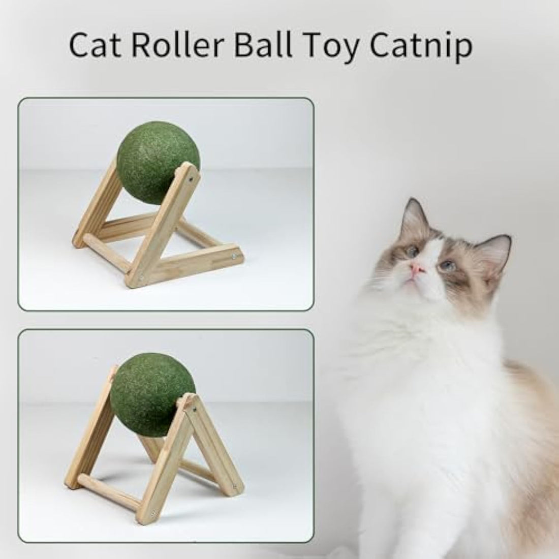 Pet Catnip Ball Toy With Holder Safe Healthy Indoor Toy