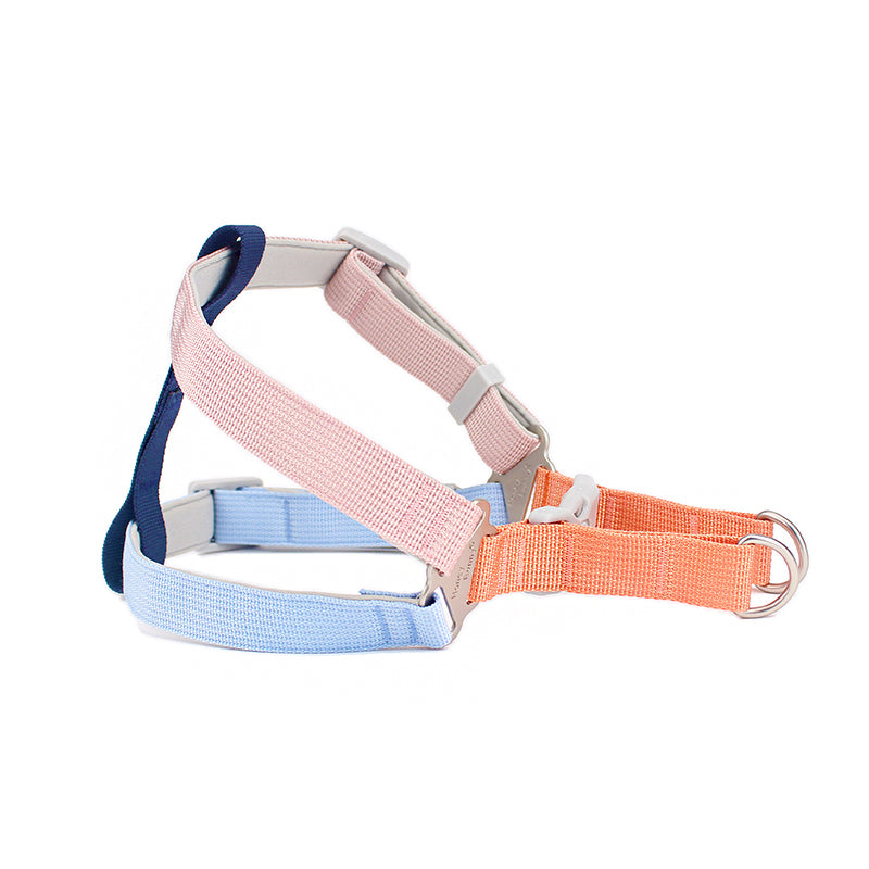 Pet Colorful Outdoor Chest Back Handheld Walking Leash